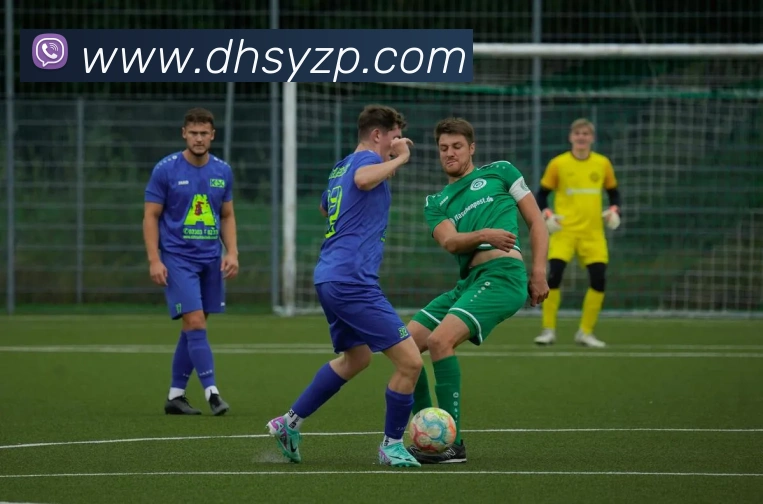 华会体育app官网平台生态图